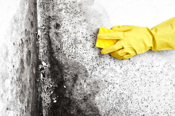 Water Damage Restoration in Krum, TX