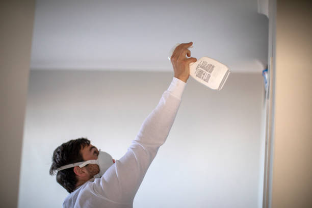 Best Crawl Space Mold Removal  in Krum, TX