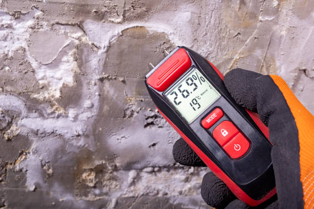 Best Crawl Space Mold Removal  in Krum, TX