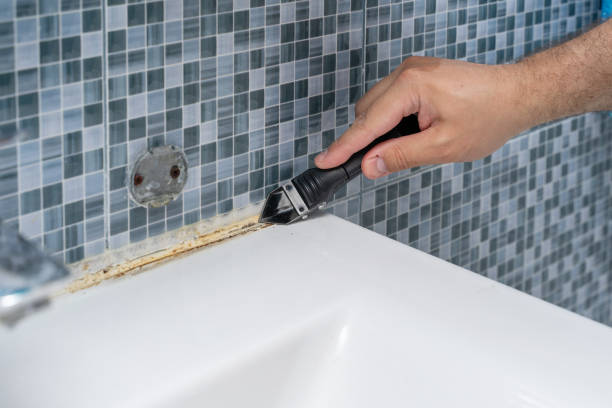 Best Mold Remediation  in Krum, TX