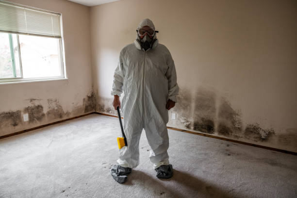 Best Local Mold Removal Service  in Krum, TX